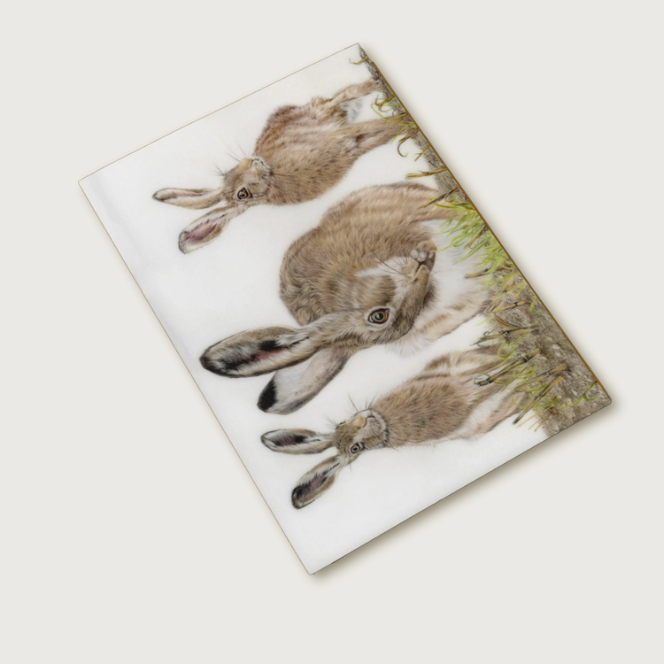 Greeting Cards