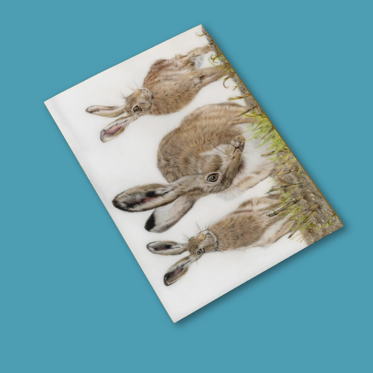 Cards & Stationary